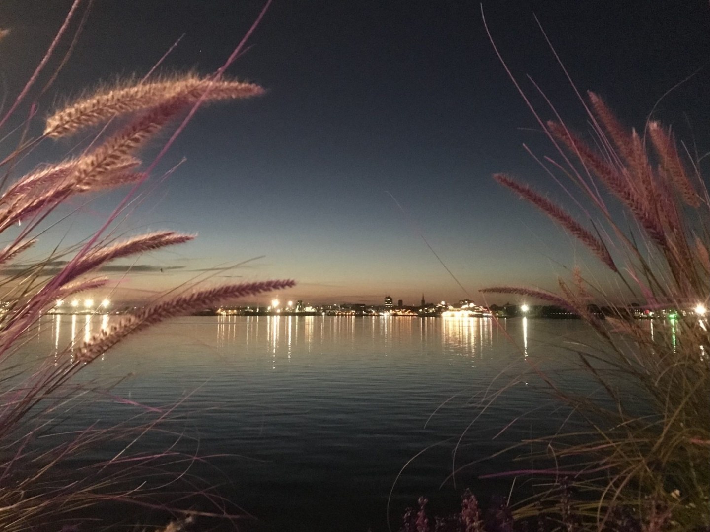 photo-quai-en-fete_5-1